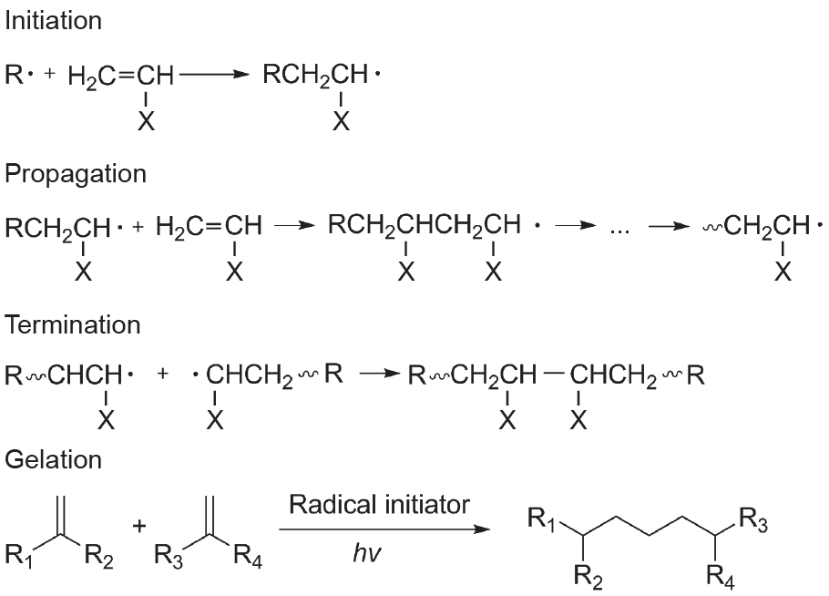 图5 自由基聚合机制和凝胶化机制。hv：光子能<br>