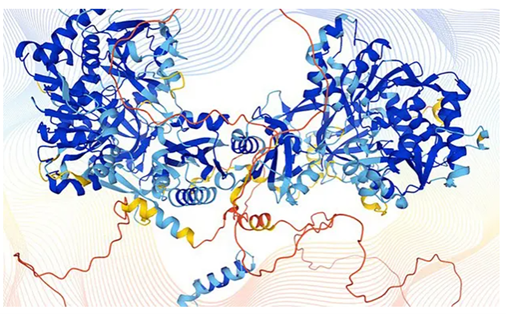 图3 由 AlphaFold 程序模拟的蛋白质结构<br label=图片备注 class=text-img-note>