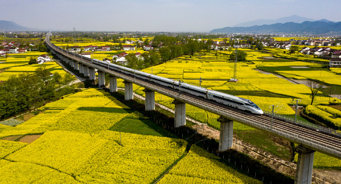 列车在陕西省汉中市的花海中穿行 图源：国家铁路局<br>