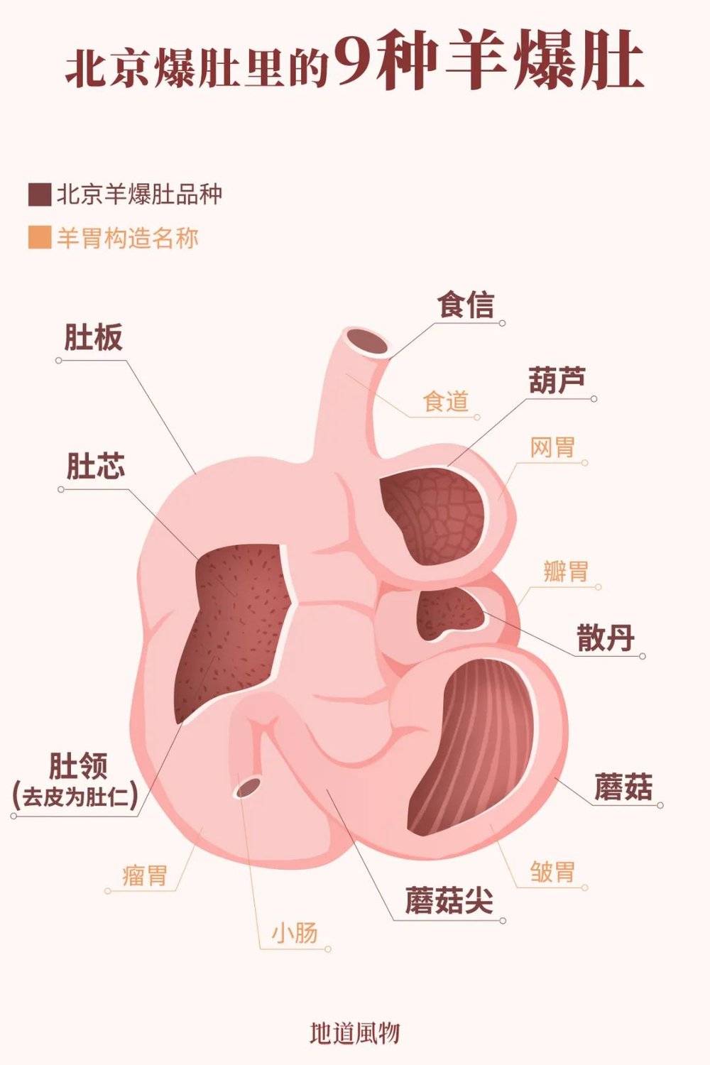 羊胃在北京人眼里，名称五花八门。设计/吴玖洋