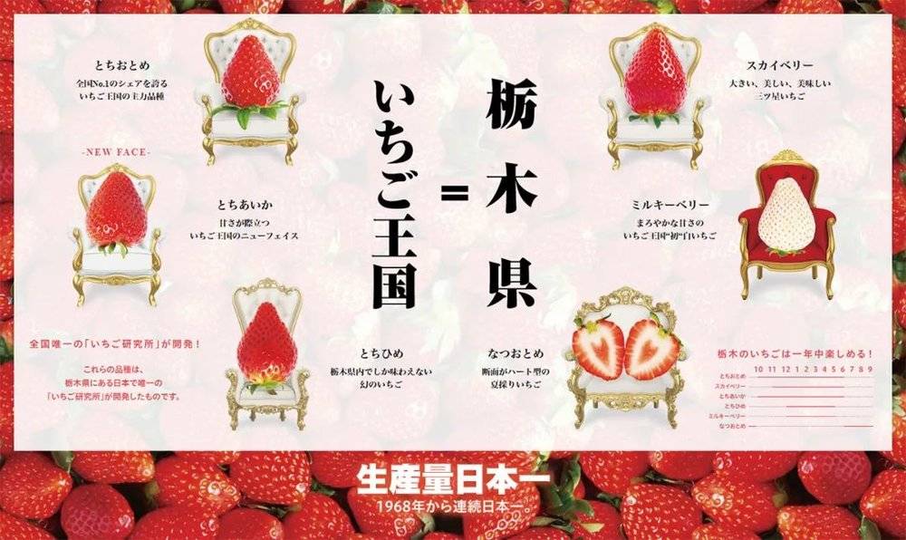 日本的草莓王国，栃木<br>