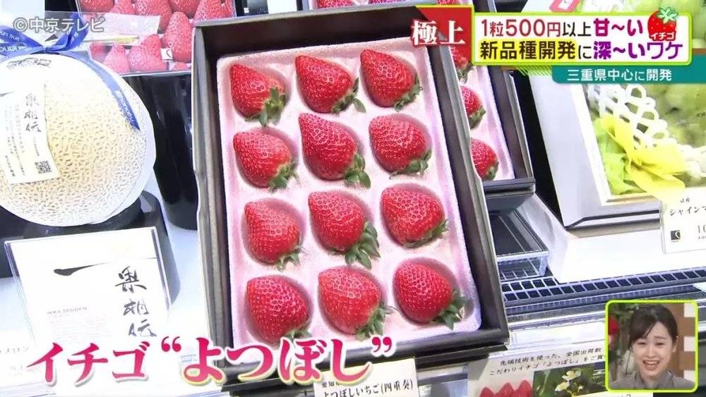 首批上市时精选的，一颗500日元的草莓<br>