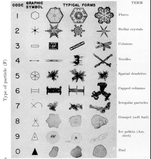 1951年国际冰冻圈科学协会（the International Association of Cryospheric Sciences）对雪花形态的分类，图片来源：Vincent J. Schaefer<br>