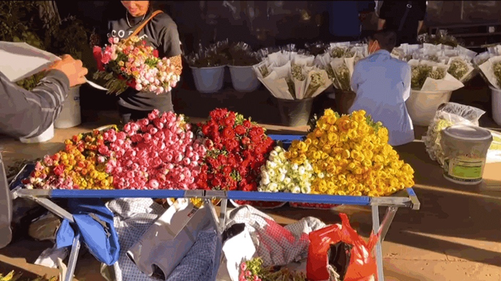 斗南的交易不仅存在于市场内部，连停车场也会有鲜花散户<br>