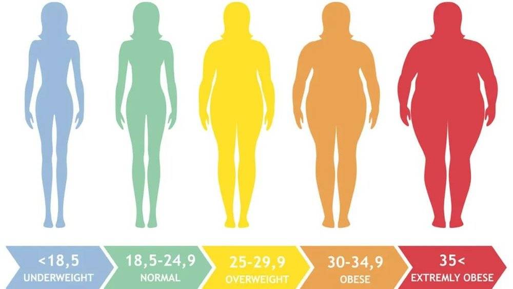 女性不同BMI值对应体型 图源：coach.nine<br>