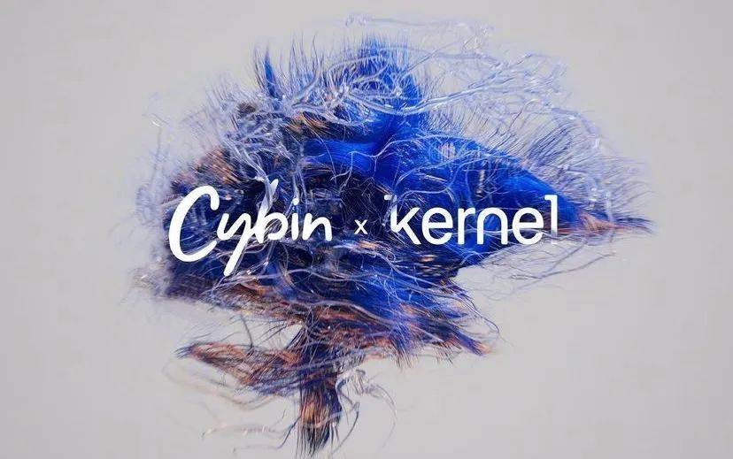 Kernel 与致幻类精神药物制药公司Cybin合作，使用Kernel 的设备在一项FDA批准的研究当中检测氯胺酮对大脑的迷幻效果。<br label=图片备注 class=text-img-note>