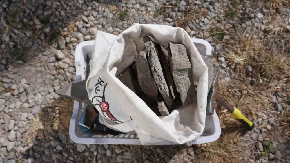 momo收集的化石和她的考古锤。<br>