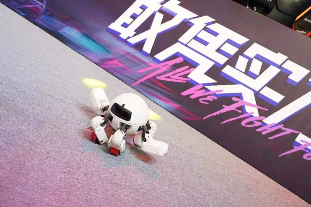 王振阳与团队打造的机器人“X-Spider”<br>