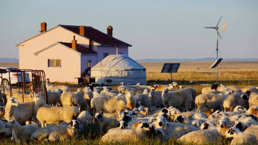 ●上：新闻报道里反复出现的蒙古包景观。下：定居后，草原上更常见的是蒙古包和房子的组合。<br>