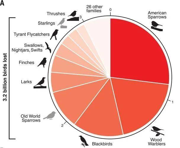 这项研究中统计的死亡鸟类比例。| DOI:10.1126/science.aaw1313<br label=图片备注 class=text-img-note>