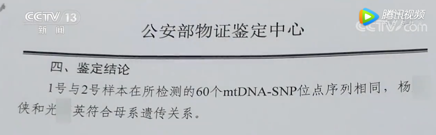 CCTV新闻截图：报告鉴定结论展示，通过60个mtDNA-SNP检测，被检测人之间符合母系遗传关系。（来源 | CCTV新闻频道）<br>