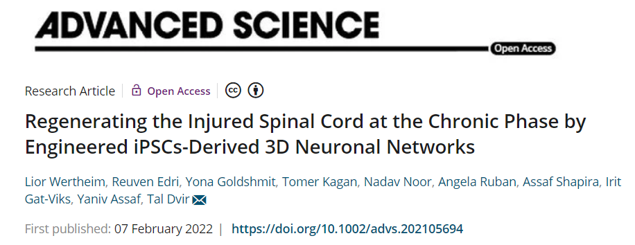 相关研究以“Regenerating the Injured Spinal Cord at the Chronic Phase by Engineered iPSCs-Derived 3D Neuronal Networks”为题，发表在最新一期的 Advance Science 杂志上。