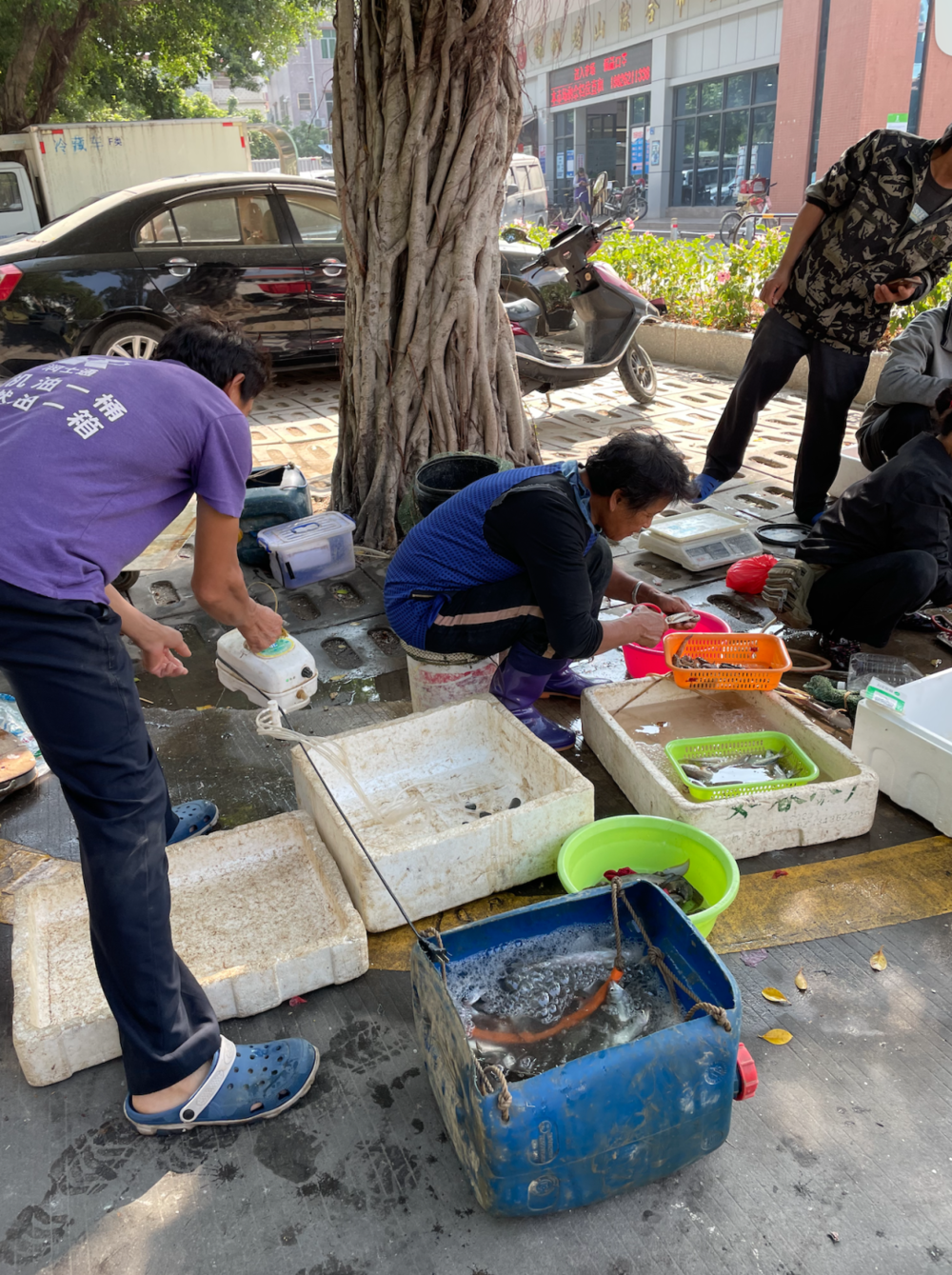 ●在珠海的菜市场上，靠海岸的小船，捞到鱼就到市场上面卖。图：作者<br>