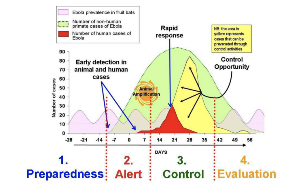 世卫组织制定的埃博拉与马尔堡病毒病应对策略：预防-警报-控制-评估<br>