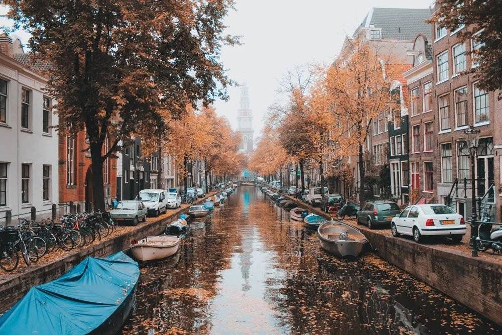 典型的荷兰城市阿姆斯特丹。/unsplash<br>
