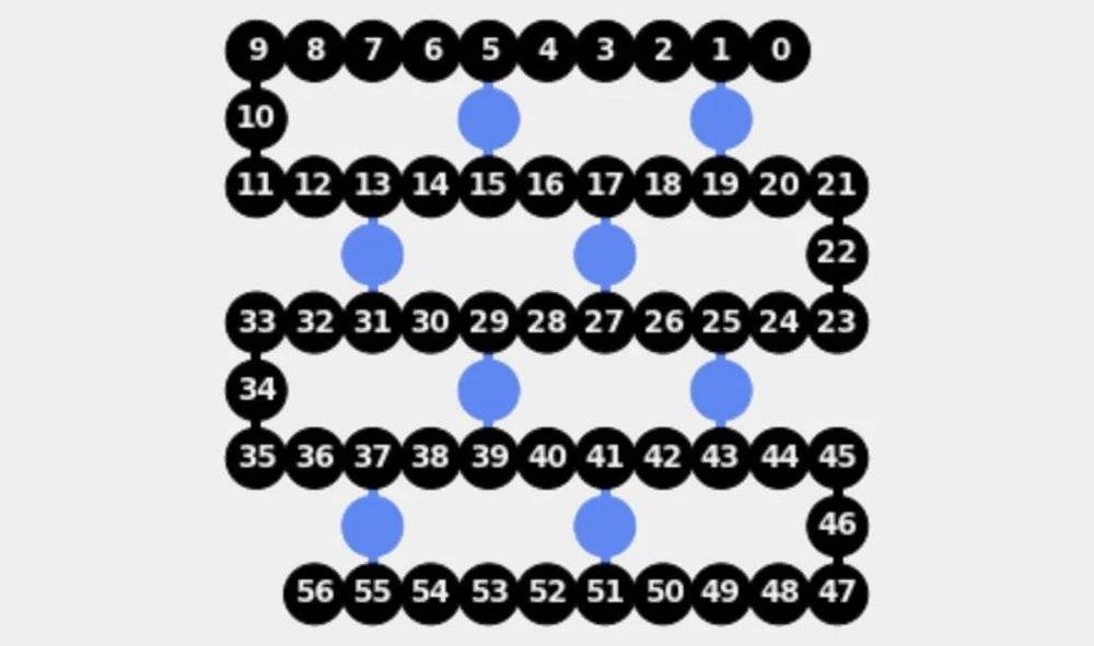 在65个量子比特的芯片中（黑色的）57个量子比特被用来模拟DTC。| 图片来源：Science Advance<br label=图片备注 class=text-img-note>