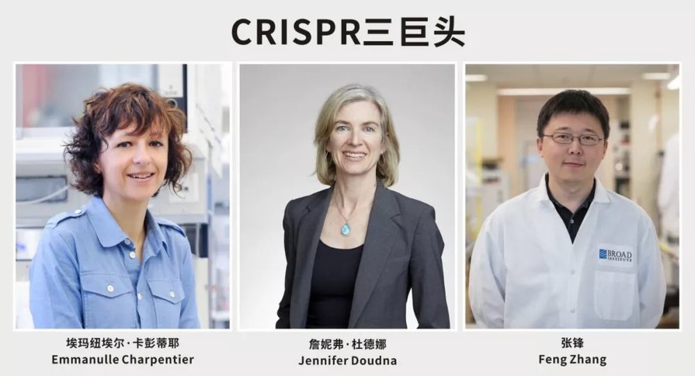法国微生物学家Emmanuelle Charpentier博士和美国国家科学院院士Jennifer A. Doudna博士因CRISPR技术获得了2020年诺贝尔化学奖；但2022年2月28日，在围绕CRISPR基因编辑技术的专利纠纷中，美国专利商标局做出了有利于张锋所在的博德研究所团队的裁决<br>