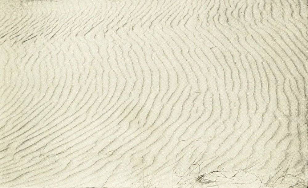 萨斯博尔（Southbourne）的风沙涟漪，摘自沃恩·康沃尔（Vaughan Cornish）于1914年出版的《沙与雪的波浪》（Waves of Sand and Snow）。© archive<br>