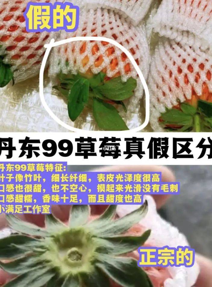 如何辨识丹东草莓？很多热心网友都献出了答案。/小红书截图<br>