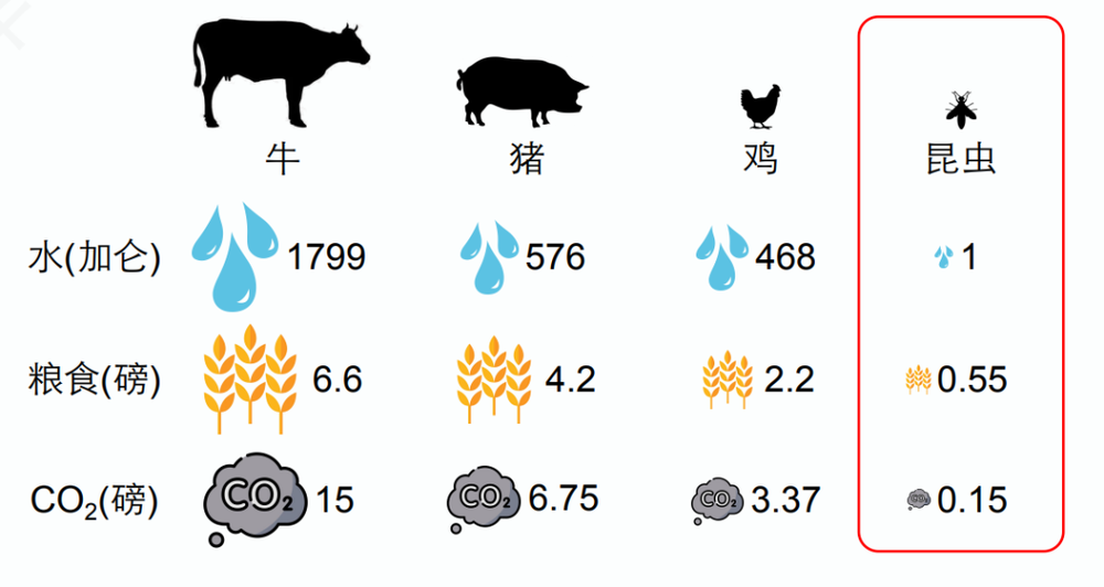 图：不同动物产生1磅蛋白质的所消耗的资源