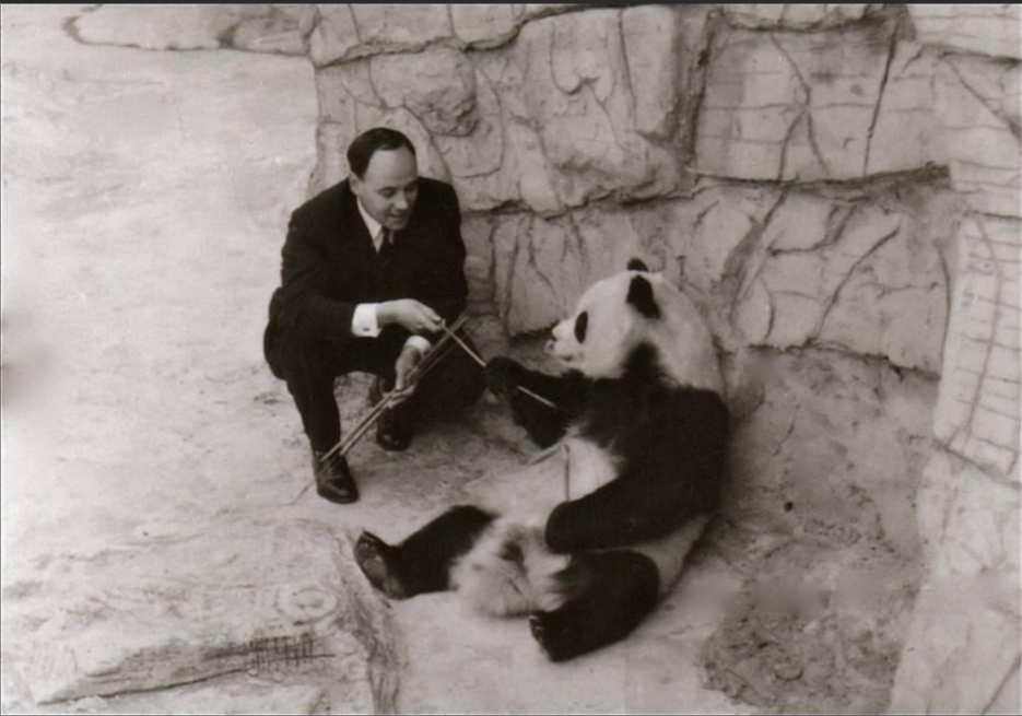 德斯蒙德·莫利斯与大熊猫<br>