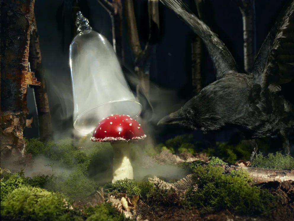 “致幻蘑菇”：由蘑菇制成的素食“鹅肝酱”。