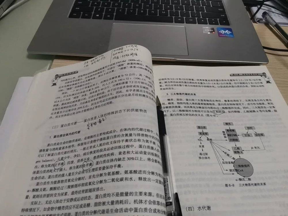 复习《运动生理学》  图片由受访者提供<br>