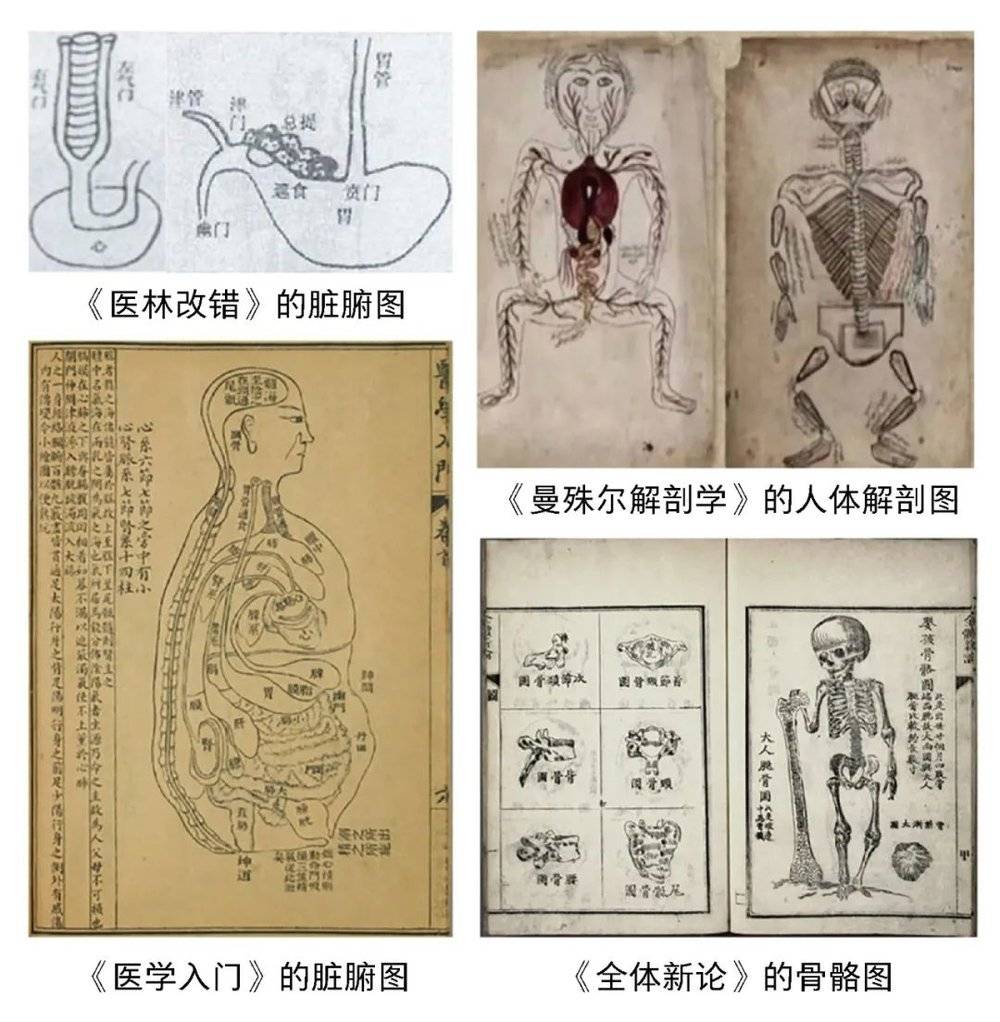 古代人体测量  古代通过解剖并以测量和绘画方式记录人体结构<br>