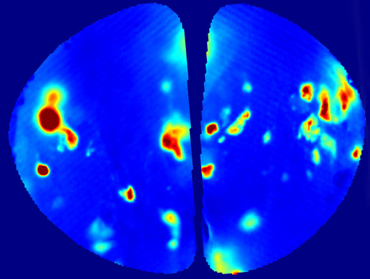 “看”到嗅觉：这张图片显示了一只啮齿动物在闻到戊酸甲酯时的大脑活动。这种油性液体散发出一种果香，常用于香水。大脑神经元内含有萤光蛋白，被气味激活时就会改变颜色，深红色对应更强的神经元活动。—该图由纽约大学神经科学研究所林伯格实验室的中山博史（音，Hirofumi Nakayama）博士提供。