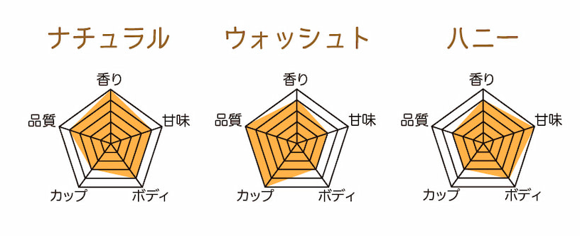 日晒、水洗、蜜处理的味觉图形，顺时针分别为香气、甜度、醇度、杯测、品质，afroaster<br>