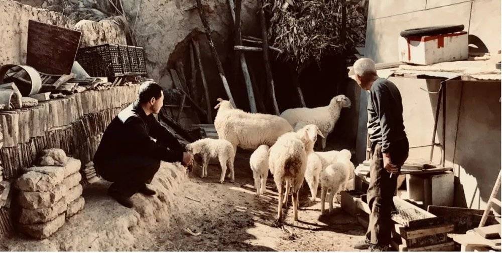 羊羔交易，左侧为走村串户的“羊客”，由作者摄于2021年2月20日<br>
