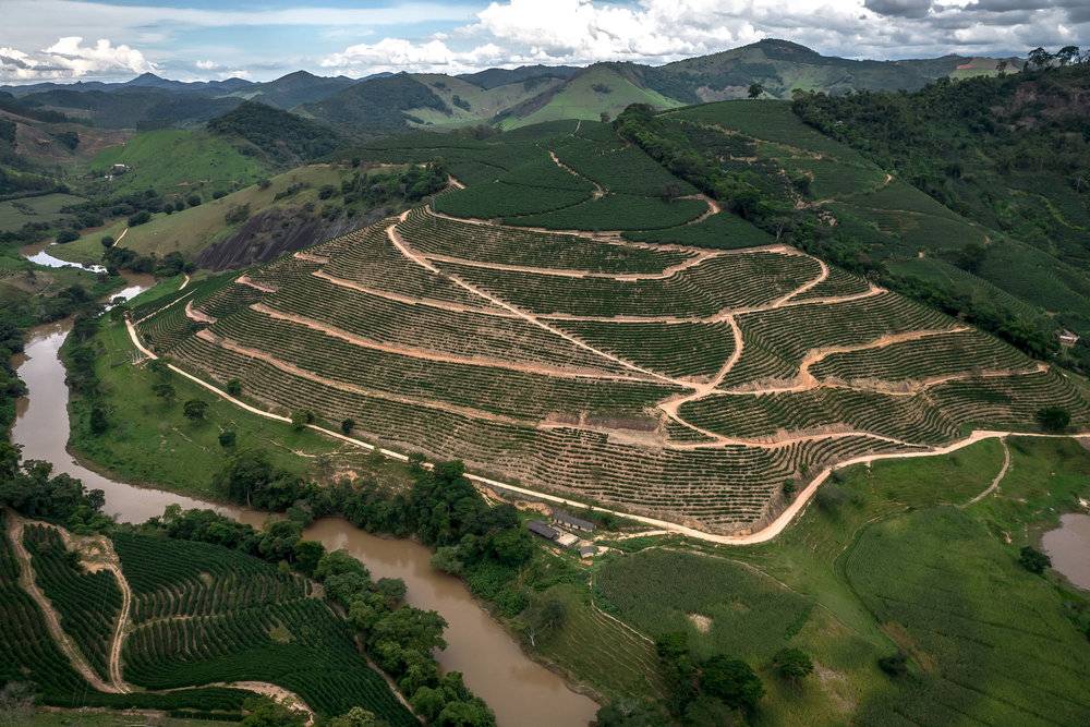 2022年初，巴西部分咖啡种植园又遭遇暴雨洪灾影响