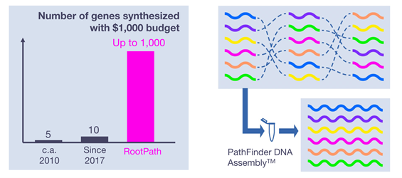 RootPath力图消除长链DNA合成应用中的成本障碍；图片来源：RootPath<br>