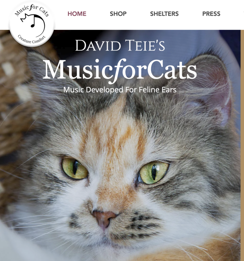 David Teie的网站 “给猫听的音乐”