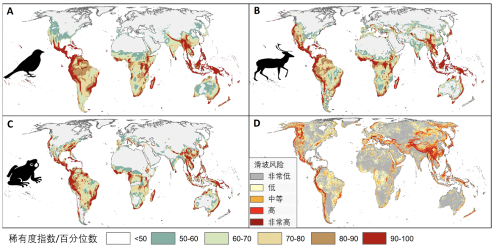 A-C分别代表鸟类、哺乳类和两栖类狭域分布物种集中分布的地区，D代表滑坡易发性分布（Li et al.， PNAS， 2022）<br>
