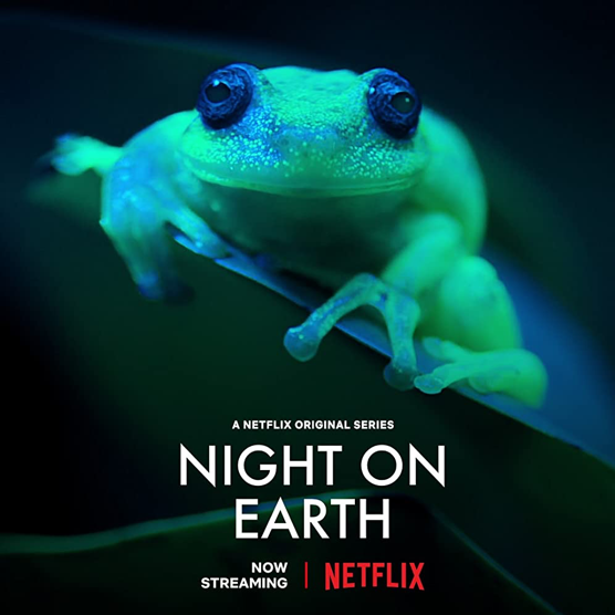 《地球的夜晚》，一部在黑夜摄制的动物纪录片。<br>