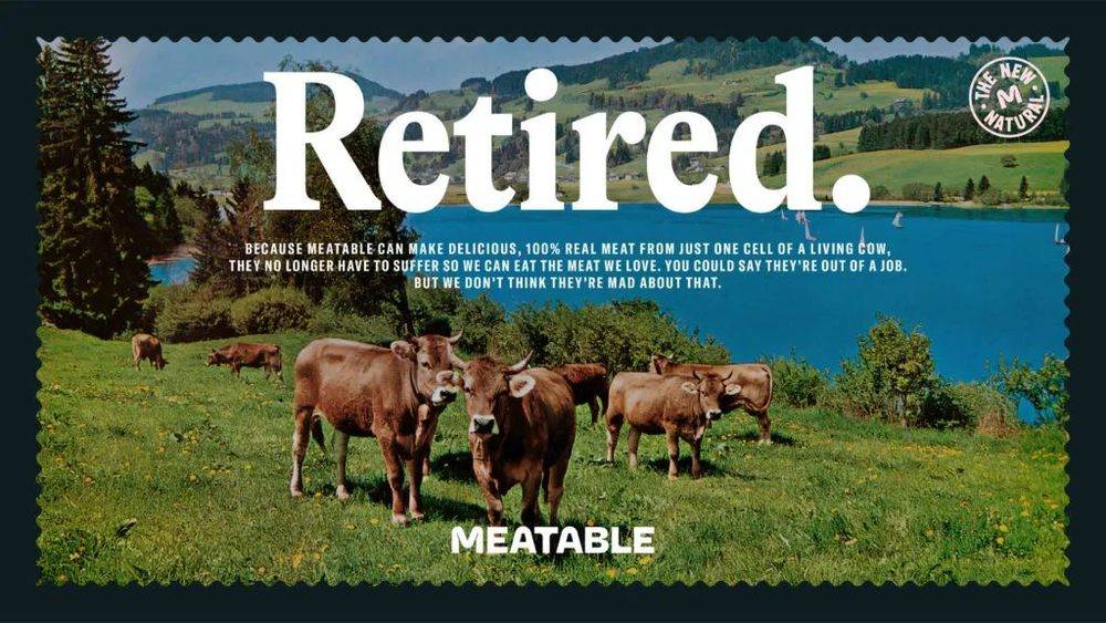 牛可能是这个星球上最想退休的劳动工作者。/MEATABLE<br>