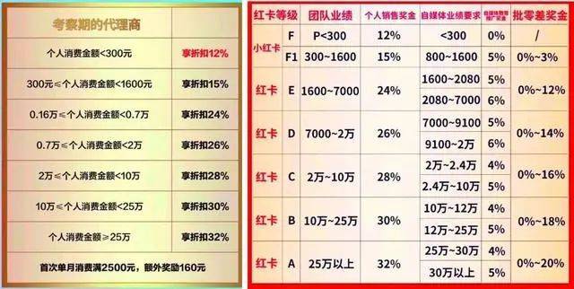 TST庭秘密2020年蓝卡（左）、 红卡会员奖金制度<br>