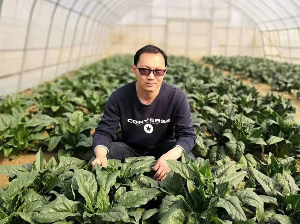 中国农业科学院蔬菜花卉研究所研究员、国家大宗蔬菜产业体系岗位专家钱伟。受访者供图<br>