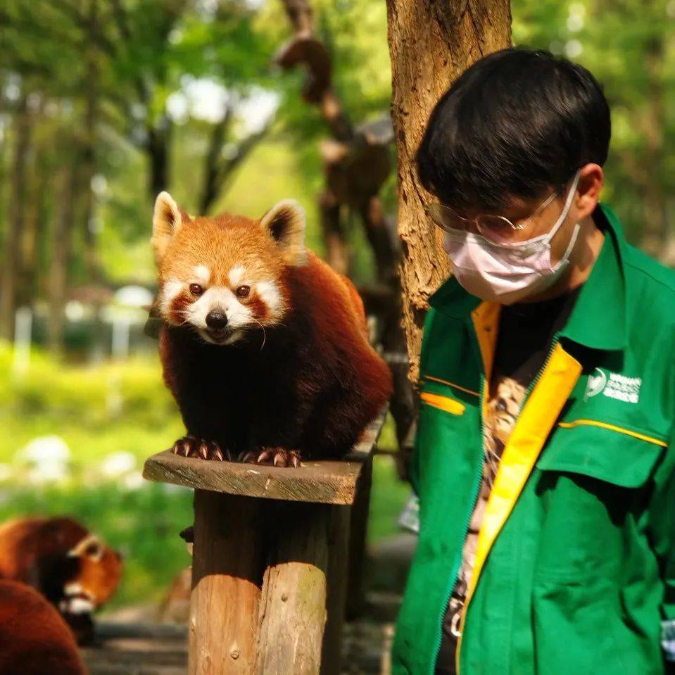 杨毅和野生动物们。©杨毅<br>