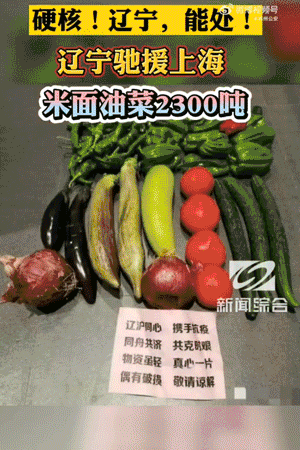 辽宁捐赠给上海的新鲜蔬菜。图/网络
