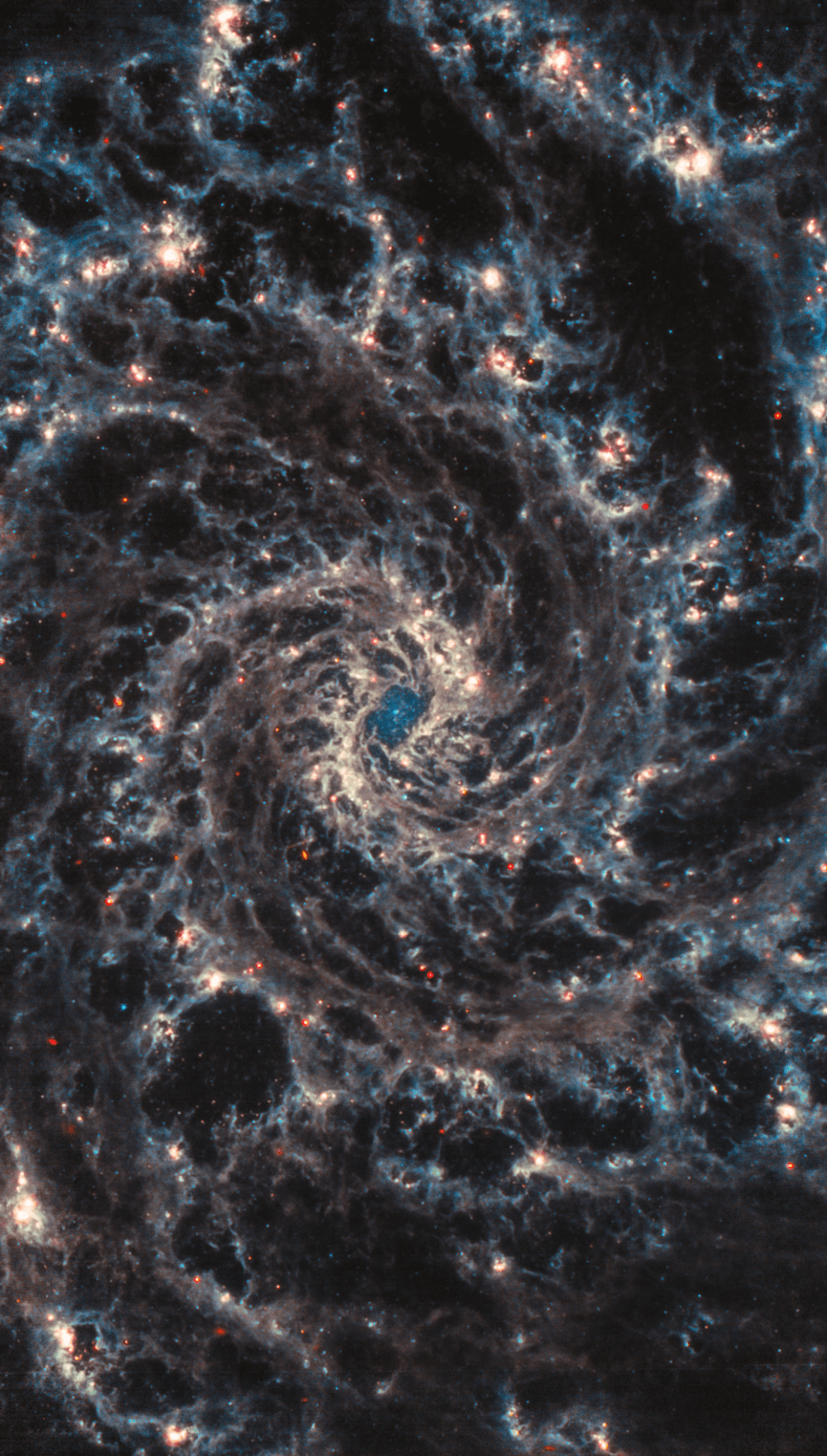 韦伯望远镜在中红外波段拍摄的旋涡星系M74中心部分 | NASA/ESA/CSA/Judy Schmidt<br>