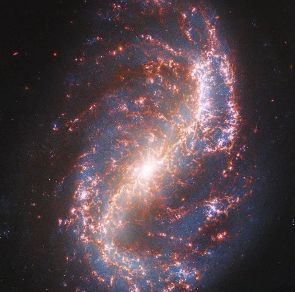 韦伯望远镜在中红外波段拍摄的棒旋星系NGC 7496，叠加在哈勃望远镜拍摄的可见光图像之上 | NASA/ESA/CSA/Judy Schmidt<br>