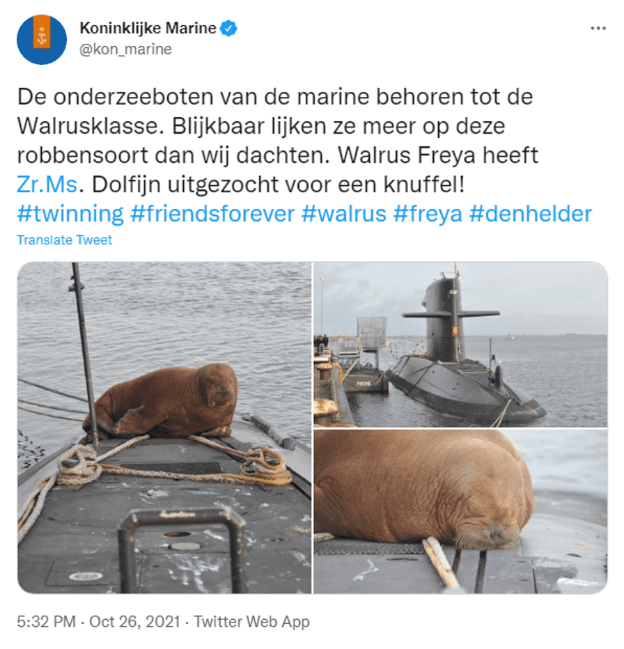 2021年，芙蕾雅还曾经搭乘过荷兰潜艇 | @kon_marine/twitter<br label=图片备注 class=text-img-note>