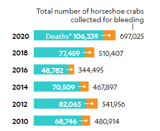 鲎被捕捞到实验室放血的数量在逐年增加。图片来源：Atlantic States Marine Fisheries<br label=图片备注 class=text-img-note>