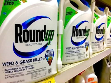 图：超市中售卖的农达（Roundup）套装除草剂，包装上直接附带喷嘴，即买即用<br>