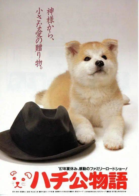 《忠犬八公物语》电影海报。图片来源：豆瓣