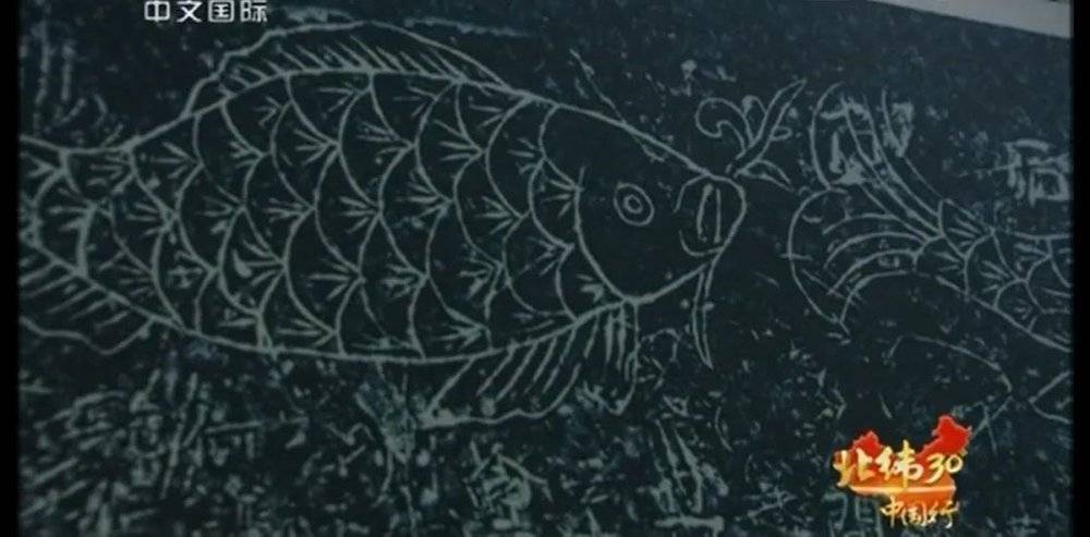 白鹤梁题刻中的刻鱼。来源/纪录片《远方的家》截图<br>
