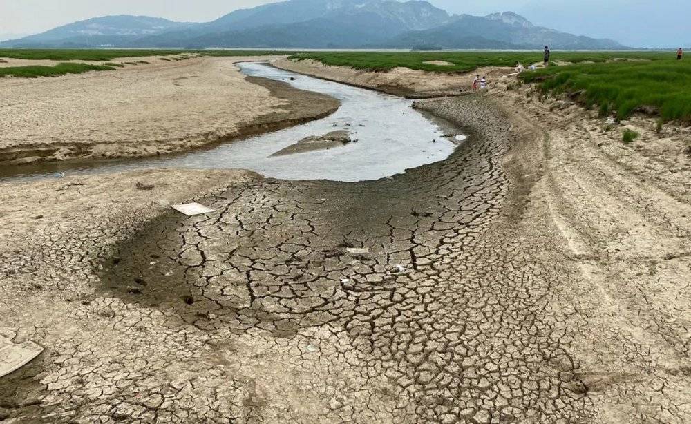 鄱阳湖湖床草原，不时可见干涸开裂的空地与低洼 时代周报记者王晨婷摄<br>