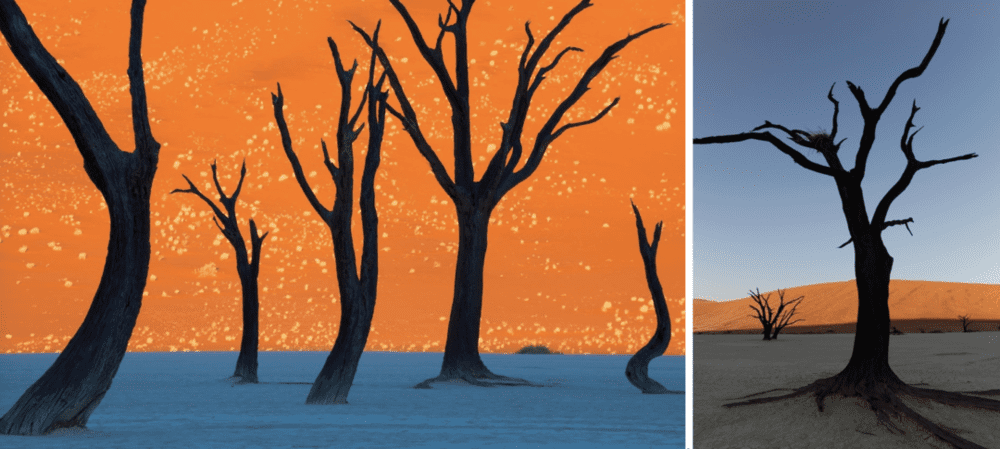 摄影师在Dead Vlei拍摄的照片，黑色的树木与被照亮的红色沙丘形成巨大对比，看起来像一幅画。｜FRANS LANTING/Nationalgeographic